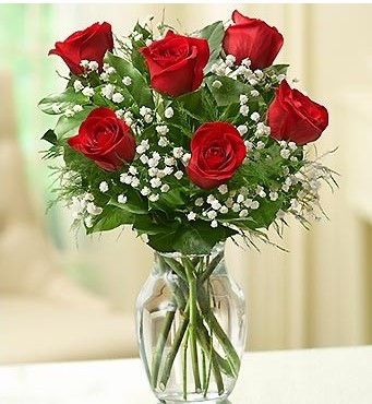 1/2 dz red roses