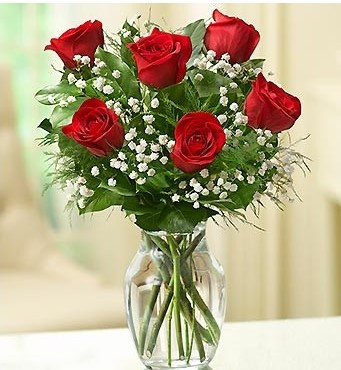 1/2 dz red roses 