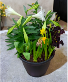 12" Easter Pots Patio planter