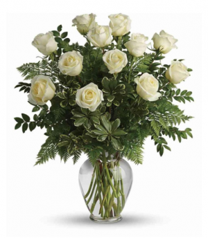 12 Elegant White Roses 