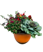 12" Fall Annual Specialty Pot 