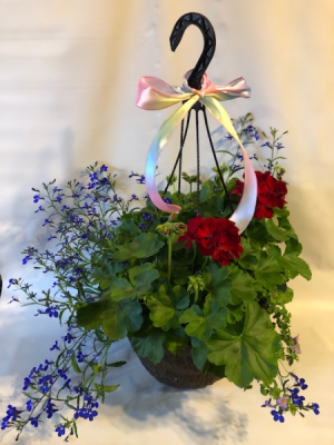 12" Hanger Outside Hanging Basket