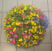 12" Hanging Basket -Lemonade Outdoor Plants (Colors vary)