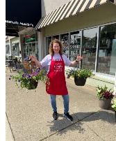 12" hanging baskets 