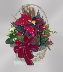 12 inch Holiday Euro Garden 