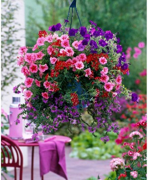 12 inch Mix Haning Basket!  