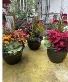 12 INCH PATIO POT 