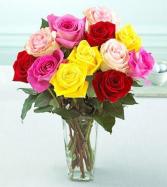 12 Mixed Coloured Rose Arrangement  