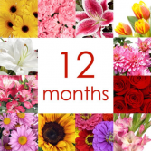 12 Months of Flowers - Delivery 