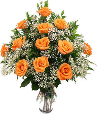 12 orange roses