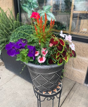 12" Patio Pot Mixed  Patio Pot 