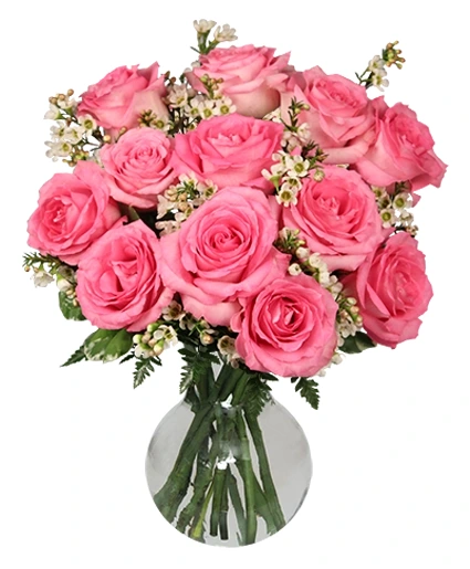 12 Pink Roses  
