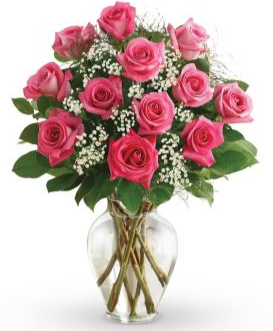 Pink Passion 12 Pink Roses In A Vase in Fredericton, NB | GROWER DIRECT FLOWERS LTD
