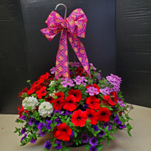 12" Premium Hanging Basket Mixed and Solid 