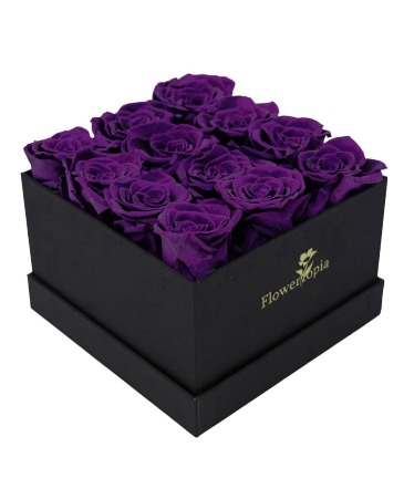 12 Preserved Purple Roses in a Square Box  Preserved Rose Box in Miami, FL | FLOWERTOPIA