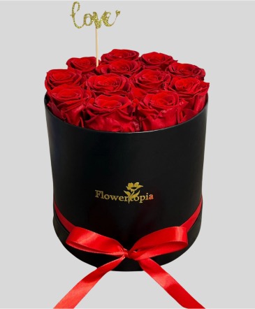 12 Preserved Red Roses in a Round Box Preserved Rose Box in Miami, FL | FLOWERTOPIA