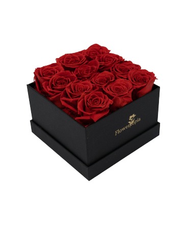 12 Preserved Red Roses in a Square Box Preserved Rose Box in Miami, FL | FLOWERTOPIA