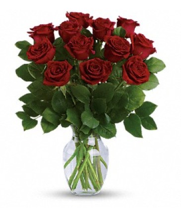 12 Red Rose Vase Special Same Day Red Rose Delivery in Edmonton, AB | PETALS ON THE TRAIL