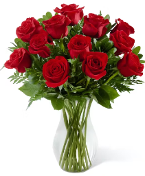 12 Red Roses Arranged  