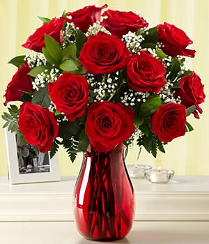 12 red roses rose