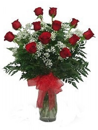 12 Red Roses Vase Arrangement in Kernersville, NC | YOUNG'S FLORIST 12 Red Roses Vase Arrangement in Kernersville, NC | YOUNG'S FLORIST
