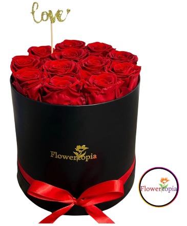 12 Rosas Rojas Preservadas en Caja Redonda Caja de Rosas Preservadas in Miami, FL | FLOWERTOPIA