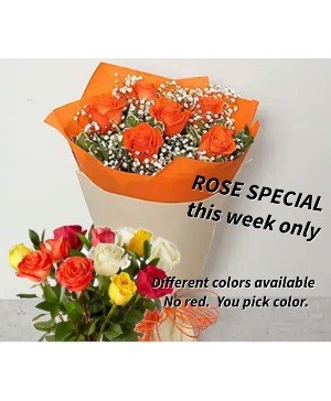12 Rose wrapped special.  - you choose special weekly