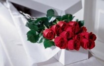 12  Roses Boxed Valentine's day or any day any colors 