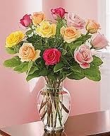 12 Roses, Mixed Color Roses, Weekly Special Gainesville, FL  ONLY!!!  No Red Included. in Gainesville, FL | PRANGE'S FLORIST
