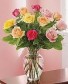 12 Roses, Mixed Color, Special! Gainesville, FL  ONLY!!!   Florist Choice of Colors.