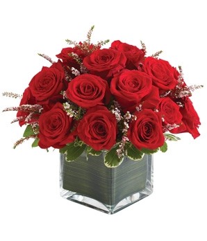 12 ROSES  EVERYDAY ROSES in Ottawa, ON | MILLE FIORE FLOWERS