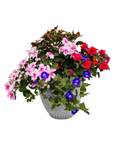 12" Shade Patio Pot 