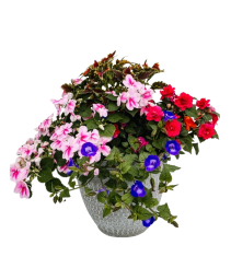 12" Shade Patio Pot 