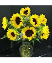 12 sunflowers 