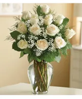 12 White Rose Vase - 00141 