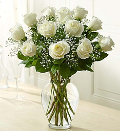 12 White Roses  Vase Rose Arrangement in Sunrise, FL | FLORIST24HRS.COM