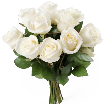 12 White Roses Wrapped Bouquet