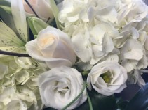 125 All white loose cut flower  bouquet  wrapped in cellophane  in Etobicoke, ON | THE POTTY PLANTER FLORIST