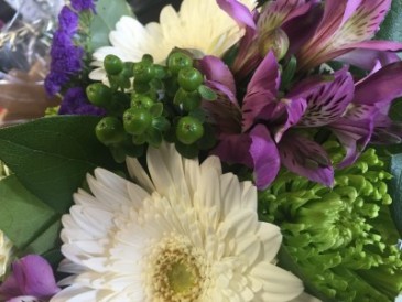 126 Purple,whites and lime greens - not arranged in a vase in Etobicoke, ON | THE POTTY PLANTER FLORIST