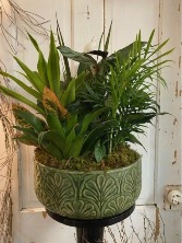 12in Ceramic Dish Garden Indoor Plant