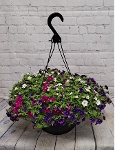 13" Hanging Basket Mother's Day