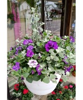 13" Hanging Baskets Outdoor Blooming Plant