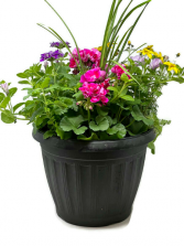 14" Mixed Patio Pot Planter 