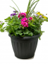 Mixed Patio Pot Planter 
