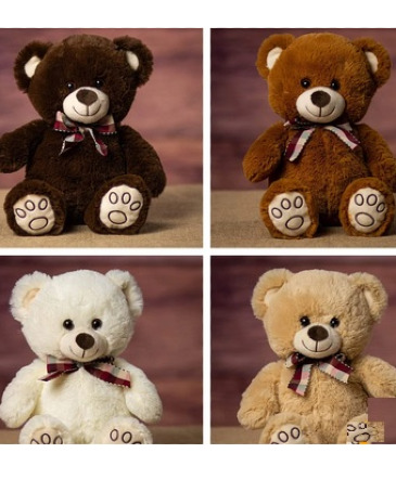 13" Paw Print Teddy Plush in Croton On Hudson, NY | Cooke's Little Shoppe Of Flowers