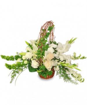 SERENITY Flower Basket in Phenix City, AL | BUDS & BLOOMS FLORIST SERENITY Flower Basket in Phenix City, AL | BUDS & BLOOMS FLORIST