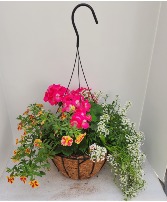 12" Coco lined Mixed Hanging Basket