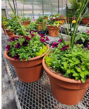 14" Combo Round Planter 