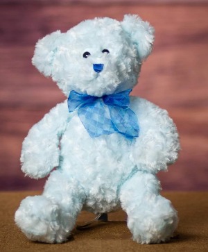14" Curly Baby Boy Teddy Bear 