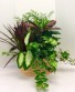 14" Extra Large Basket Dish Garden Green Plants